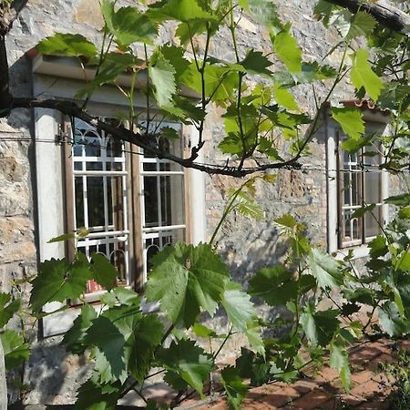 A Lovely House In Vipava Valley Экстерьер фото
