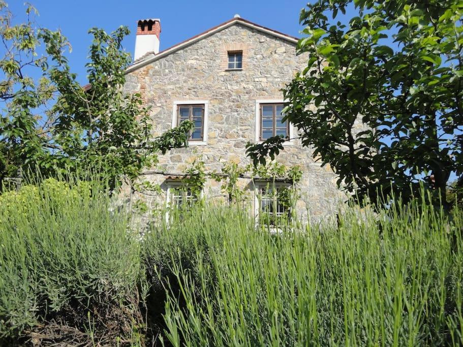 A Lovely House In Vipava Valley Экстерьер фото