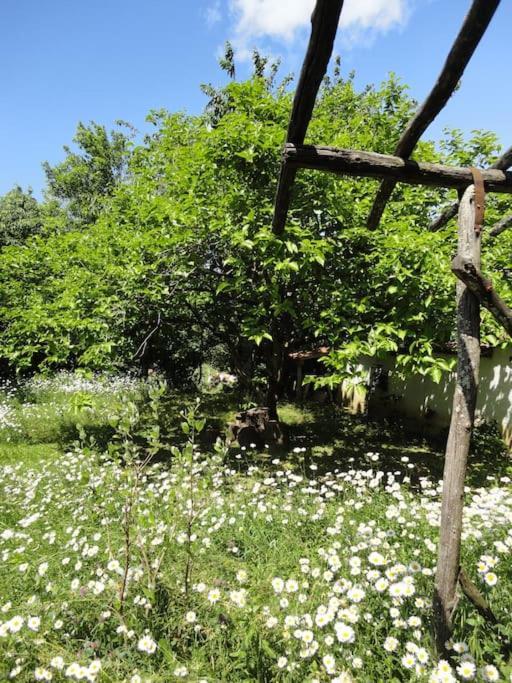 A Lovely House In Vipava Valley Экстерьер фото