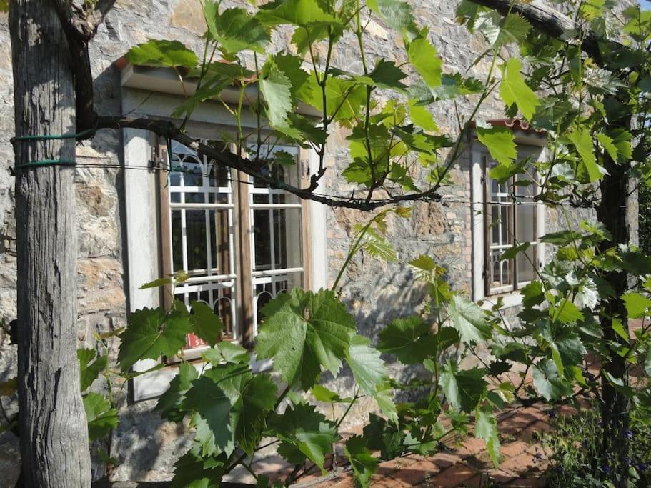 A Lovely House In Vipava Valley Экстерьер фото